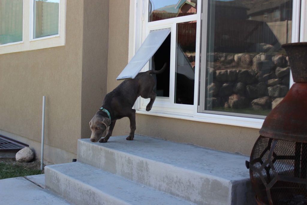 Large pet door for hotsell patio and sliding doors